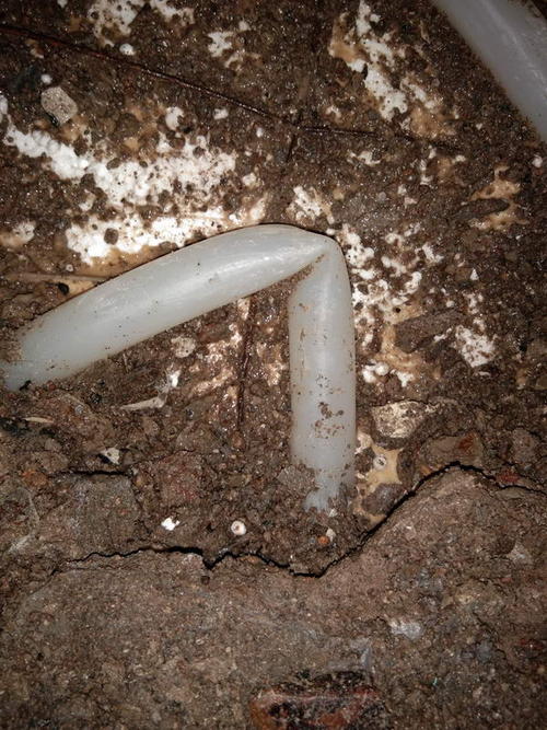 临洮堵点精准查找